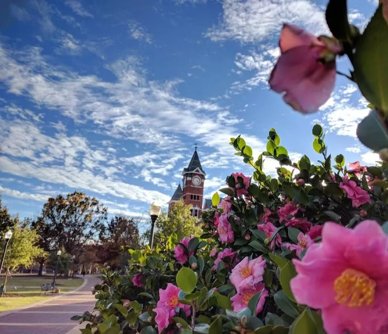 Auburn, AL
